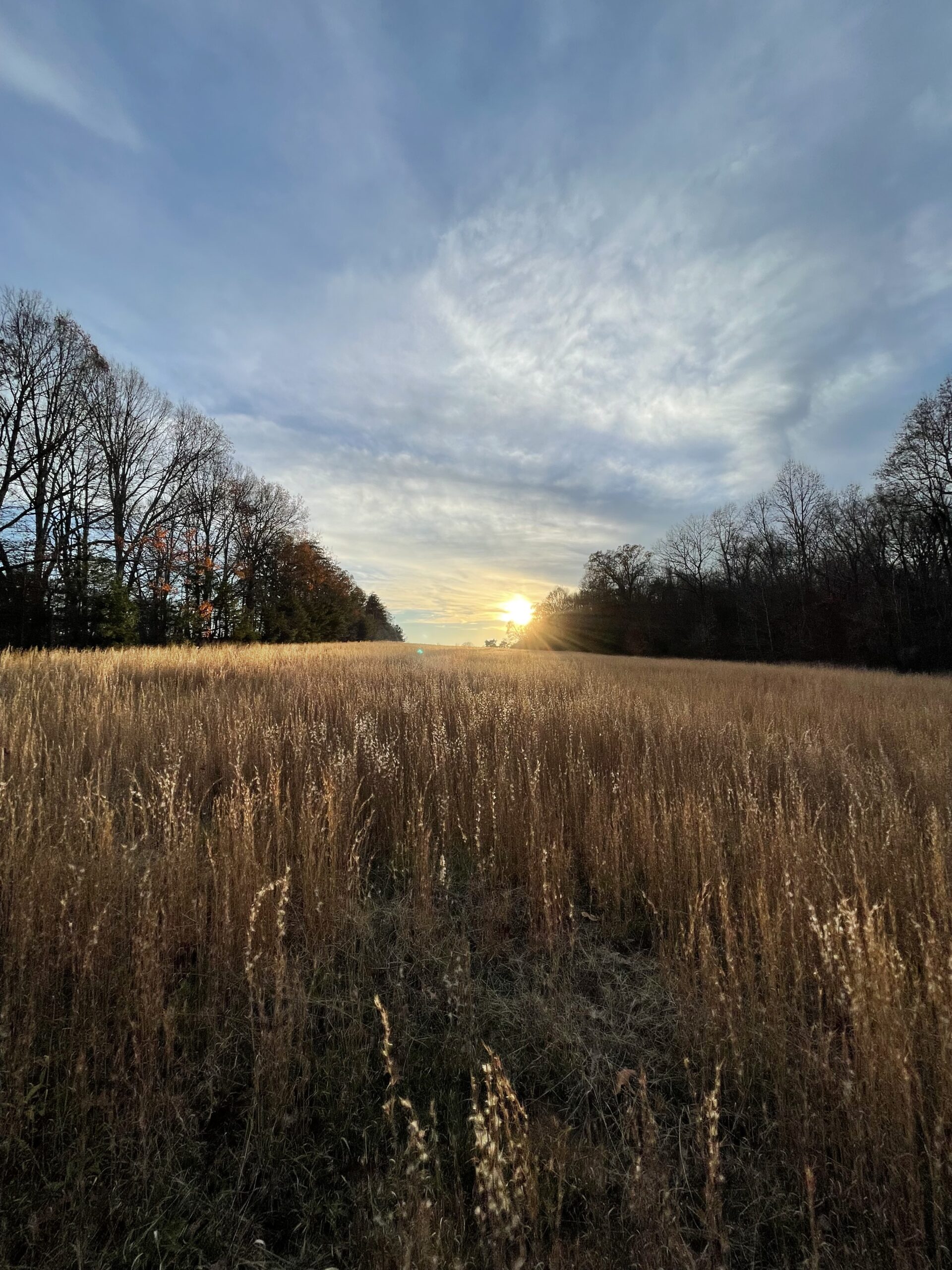 Sunset at the farm